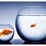 10 Actions Points for your Business to be the Big Fish in your Real Estate Market?